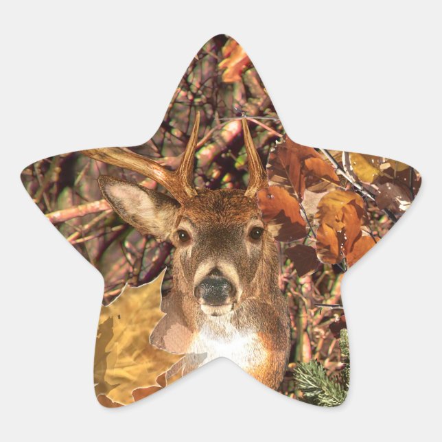 Pegatina En Forma De Estrella Buck in Hunter Camo White Tail Deer (Anverso)