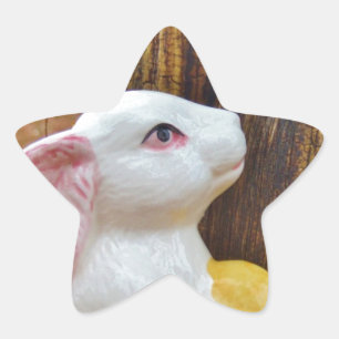 Pegatina En Forma De Estrella Bunny de Pascua