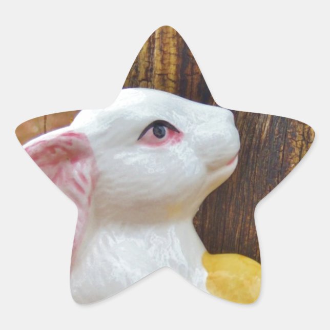 Pegatina En Forma De Estrella Bunny de Pascua (Anverso)