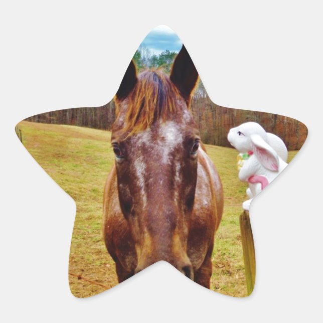 Pegatina En Forma De Estrella Bunny de Pascua y caballo marrón (Anverso)