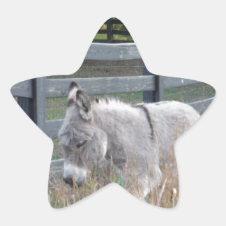 Pegatina En Forma De Estrella Burro en un campo otoñal