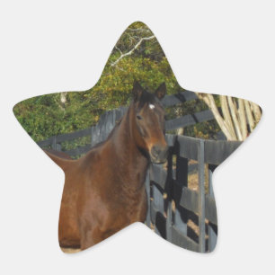 Pegatina En Forma De Estrella Caballo marrón contra una valla