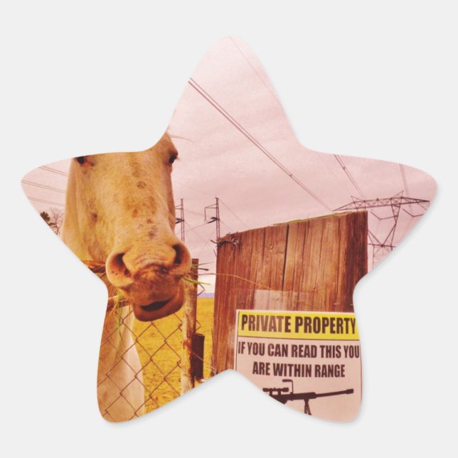 Pegatina En Forma De Estrella Caballo Pink Private Property (Anverso)