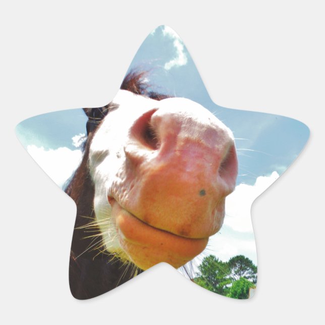Pegatina En Forma De Estrella Caballo sonriente (Anverso)