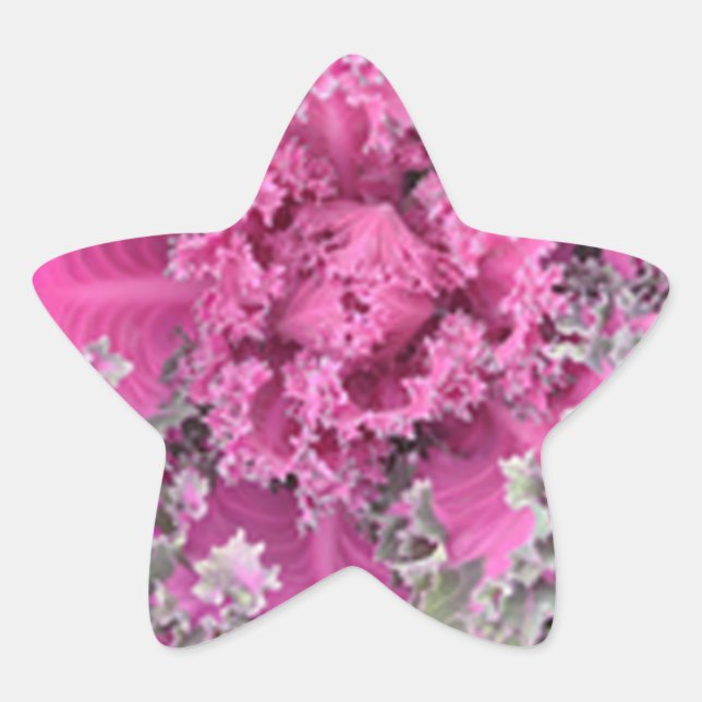 Pegatina En Forma De Estrella Cactus (Anverso)