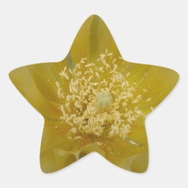 Pegatina En Forma De Estrella Cactus Amarillo en Flor