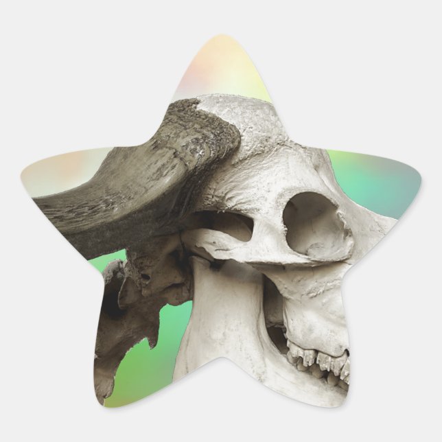 Pegatina En Forma De Estrella Calavera de búfalo en fondo acuarela (Anverso)