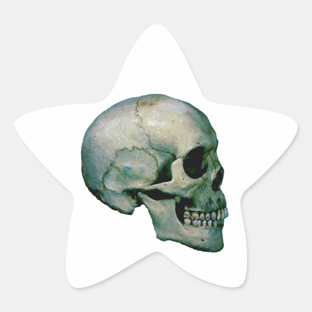 Pegatina En Forma De Estrella Calavera del perfil (Anverso)