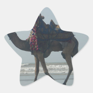 Pegatina En Forma De Estrella Camellos tribales en bicicleta: Sands & Sea por la