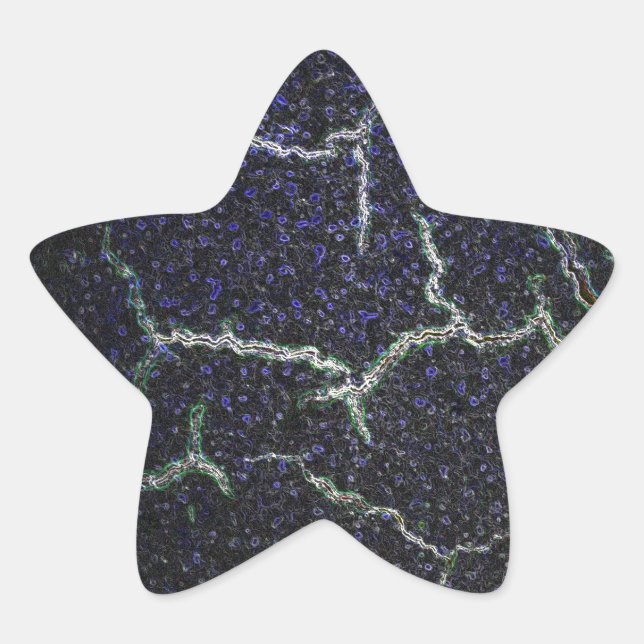 Pegatina En Forma De Estrella caparazón (Anverso)