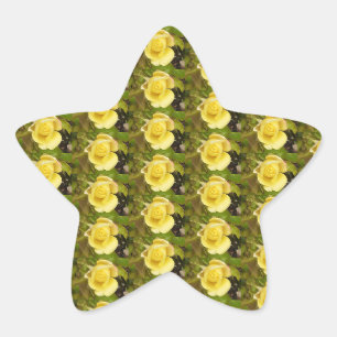 Pegatina En Forma De Estrella Capullos de rosa amarillos