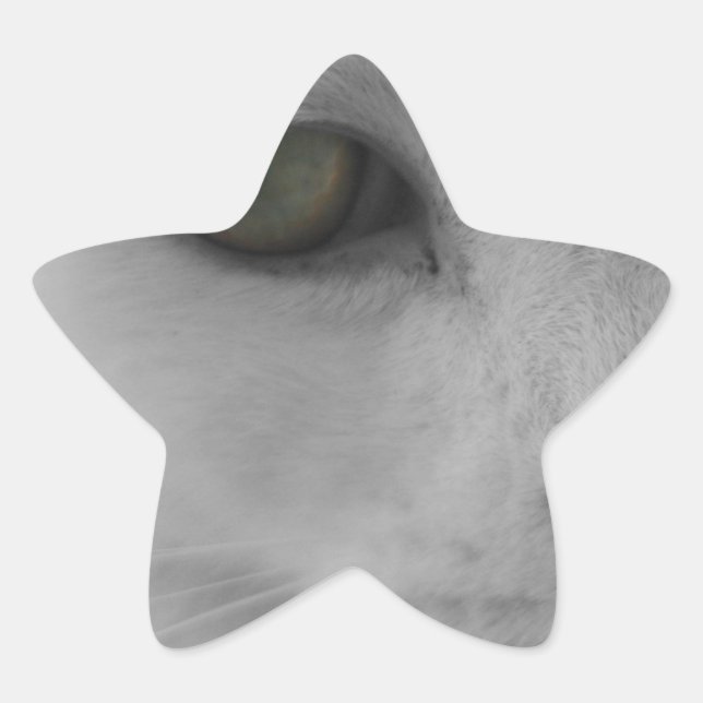 Pegatina En Forma De Estrella Cara de gatos negros y blancos (Anverso)
