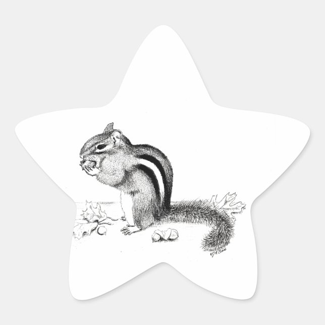 Pegatina En Forma De Estrella Chipmunk (Anverso)
