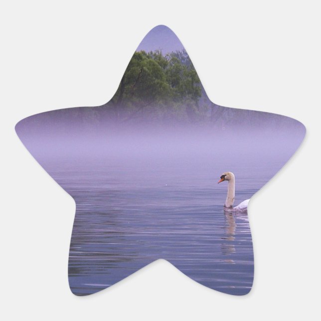 Pegatina En Forma De Estrella Cisne en el lago (Anverso)
