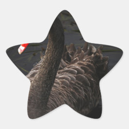 Pegatina En Forma De Estrella Cisne negro