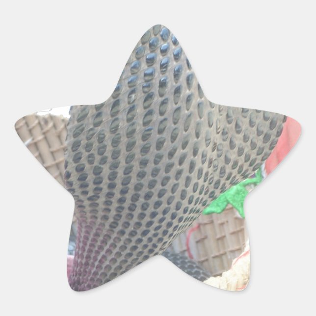 Pegatina En Forma De Estrella Cobra en la edición impresa de Basket Art (Anverso)