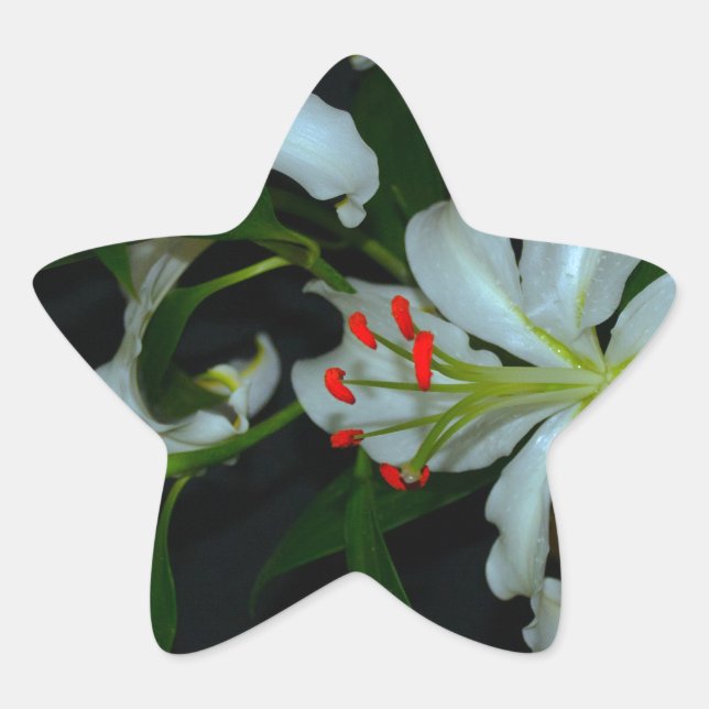 Pegatina En Forma De Estrella Colección irlandesa de Brass y Flores (Anverso)