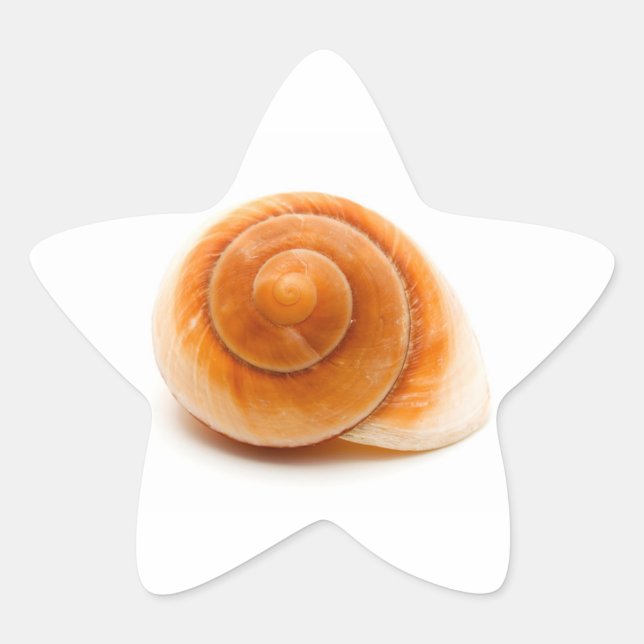 Pegatina En Forma De Estrella Concha (Anverso)