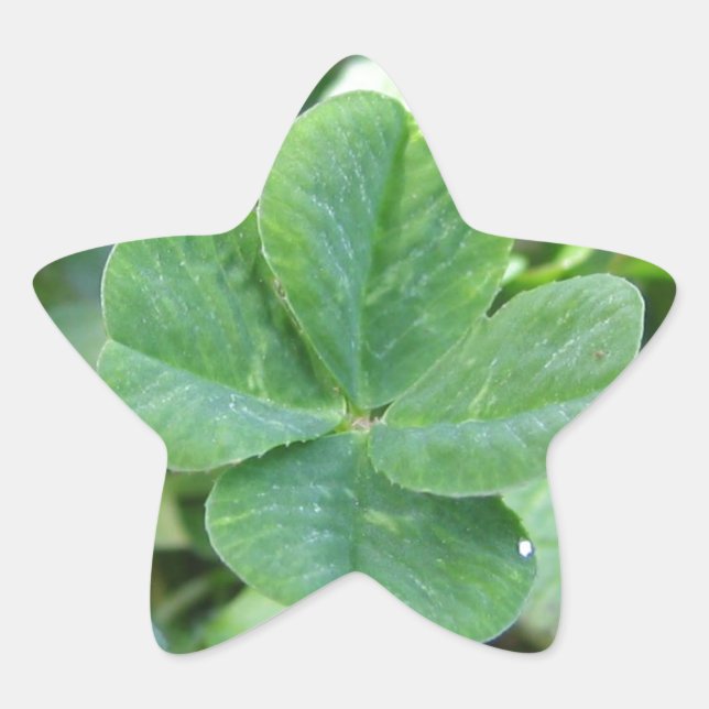 Pegatina En Forma De Estrella Cuádruple Lazo (Anverso)