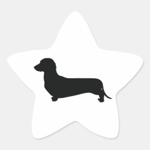 Pegatina En Forma De Estrella Dachshund básico
