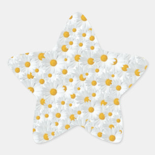 Pegatina En Forma De Estrella Daisies