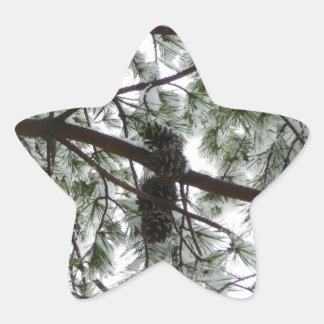 Pegatina En Forma De Estrella Debajo de la foto del invierno de un pino cubierto