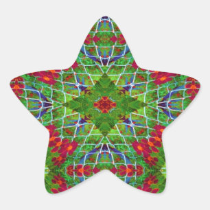 Pegatina En Forma De Estrella Diseño geométrico rojo y verde