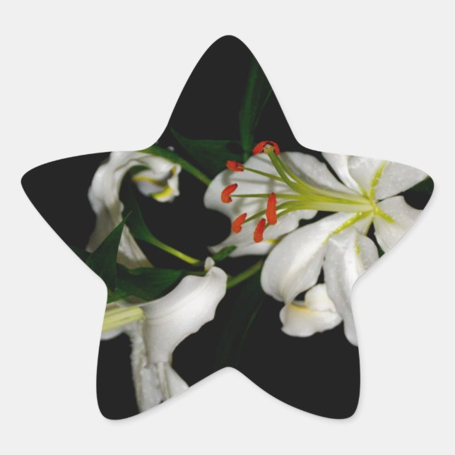 Pegatina En Forma De Estrella Diseño irlandés - Colección de flores (Anverso)