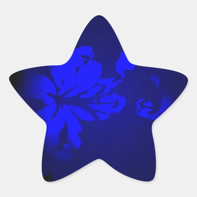 Pegatina En Forma De Estrella Diseño irlandés - Colección de flores (Anverso)