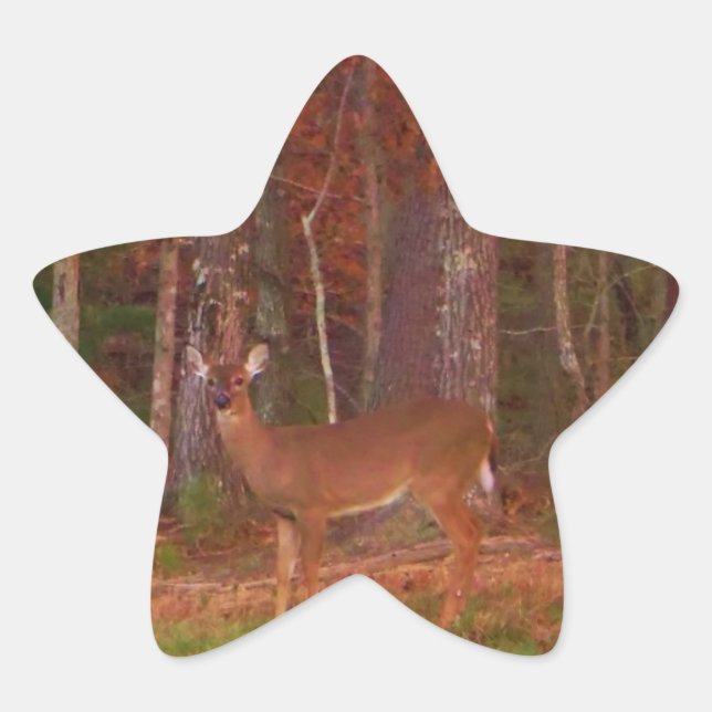 Pegatina En Forma De Estrella Doe a Deer in Lake Arrowhead (Anverso)