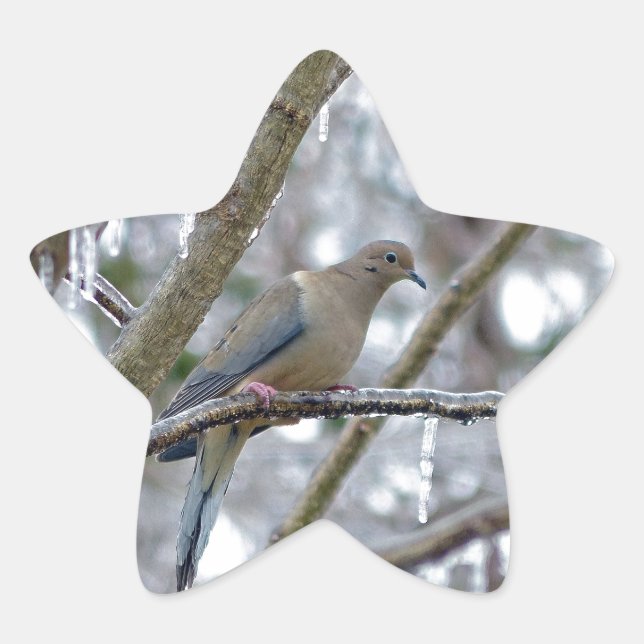 Pegatina En Forma De Estrella Dove de duelo (Anverso)