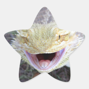 Pegatina En Forma De Estrella Dragón de barba súper feliz