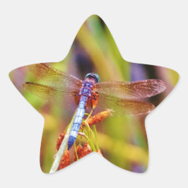 Pegatina En Forma De Estrella Dragonfly verde azulado