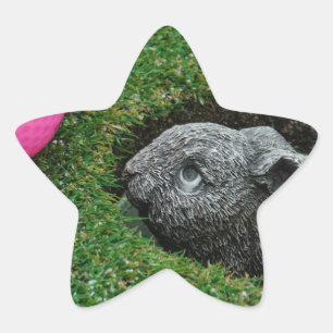 PEGATINA EN FORMA DE ESTRELLA DSCF0652.JPG