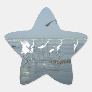 Pegatina En Forma De Estrella El cuervo negro y las grullas blancas: un contrast