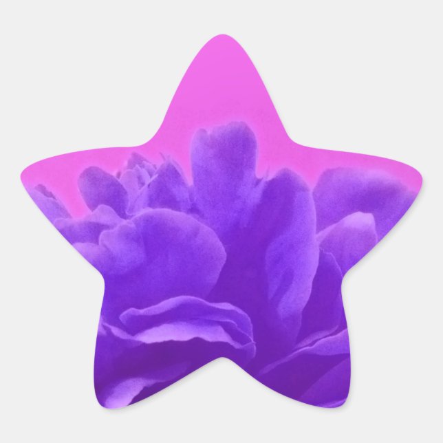 Pegatina En Forma De Estrella Elegante morado frambuesa floral (Anverso)
