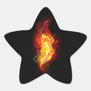 Pegatina En Forma De Estrella Feather Peacock