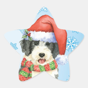 Pegatina En Forma De Estrella Feliz cumpleaños Beardie