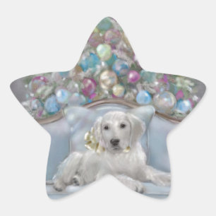 Pegatina En Forma De Estrella Feliz y brillante