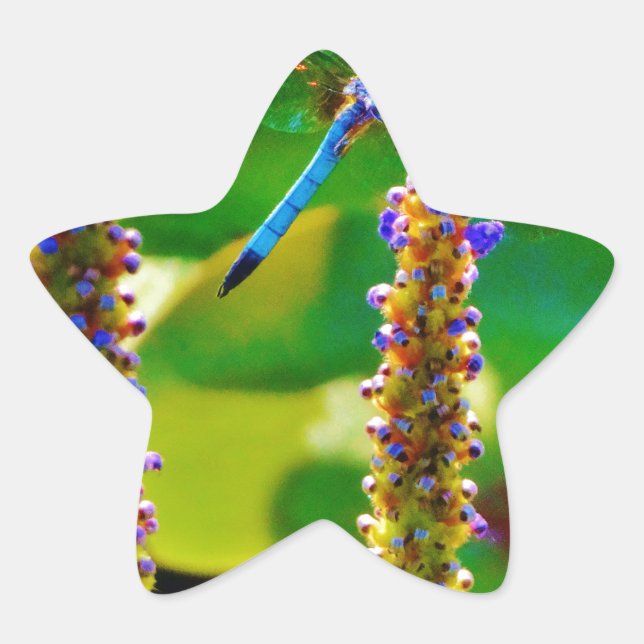 Pegatina En Forma De Estrella Flor azul (Anverso)