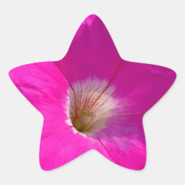 Pegatina En Forma De Estrella flor de petunia rosa
