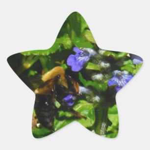 Pegatina En Forma De Estrella Flor morada y abeja burbuja