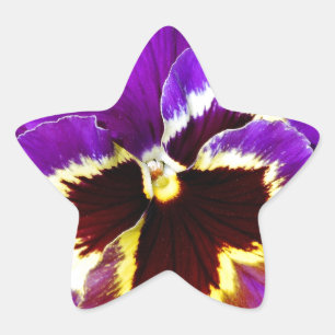 Pegatina En Forma De Estrella Flor morada y amarilla