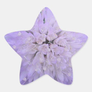 Pegatina En Forma De Estrella Flor púrpura
