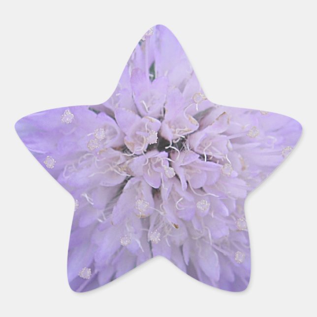 Pegatina En Forma De Estrella Flor púrpura (Anverso)