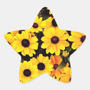 Pegatina En Forma De Estrella Flores amarillas y negras