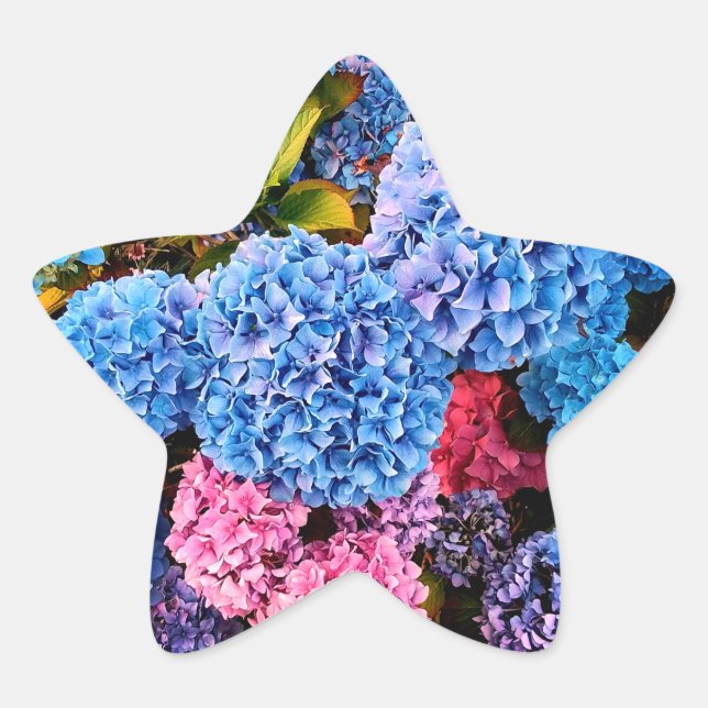Pegatina En Forma De Estrella Flores azules y rosas (Anverso)