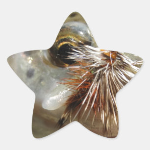 Pegatina En Forma De Estrella Foto de Rainbow Trout