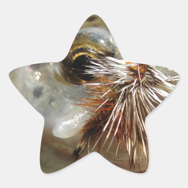 Pegatina En Forma De Estrella Foto de Rainbow Trout (Anverso)