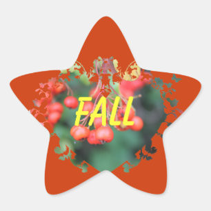 Pegatina En Forma De Estrella frutas rojas de otoño signo zodiacal